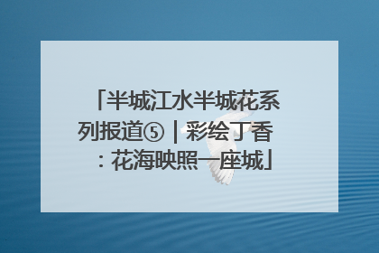半城江水半城花系列报道⑤｜彩绘丁香：花海映照一座城